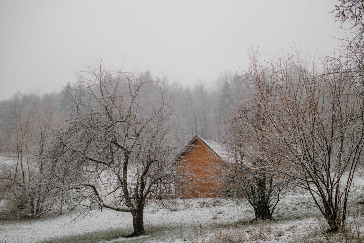 Osada Krasne - Noclegi Blisko Natury Bukowiec  Esterno foto