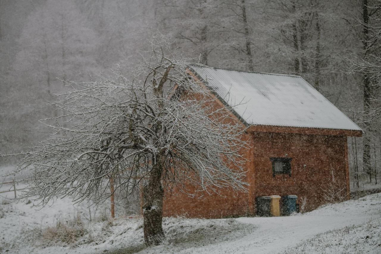 Osada Krasne - Noclegi Blisko Natury Bukowiec  Esterno foto