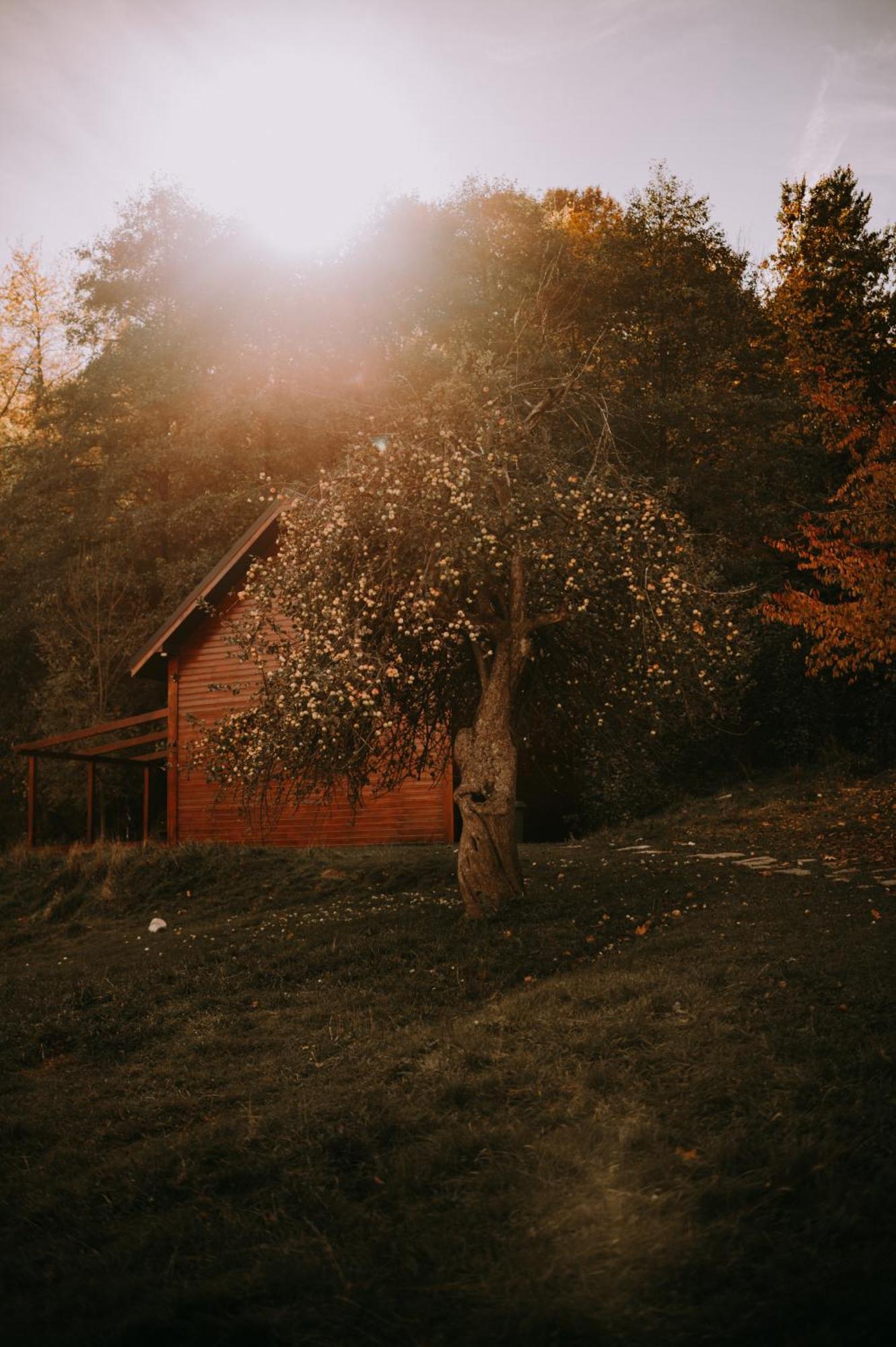 Osada Krasne - Noclegi Blisko Natury Bukowiec  Esterno foto